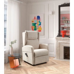 Sillón Relax Eléctrico 2 motores y elevación